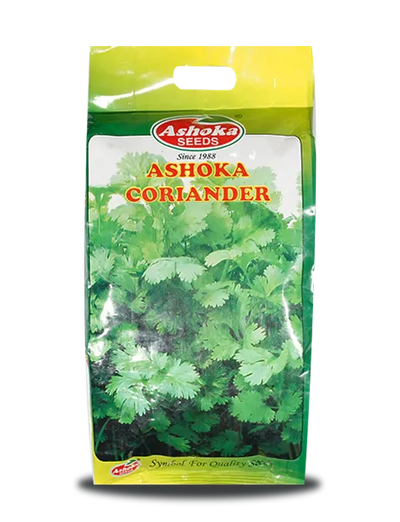 LATE BOLTING CORIANDER