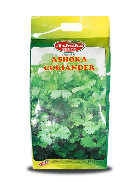 LATE BOLTING CORIANDER