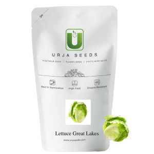 URJA GREAT LAKES - LETTUCE SEEDS