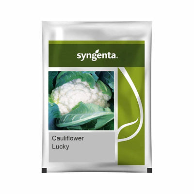 SYNGENTA LUCKY CAULIFLOWER