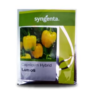 LUMOS CAPSICUM SEEDS