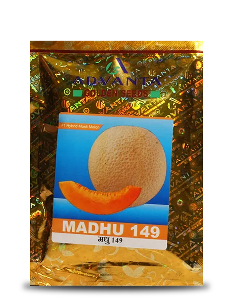 MADHU 149 MUSK MELON