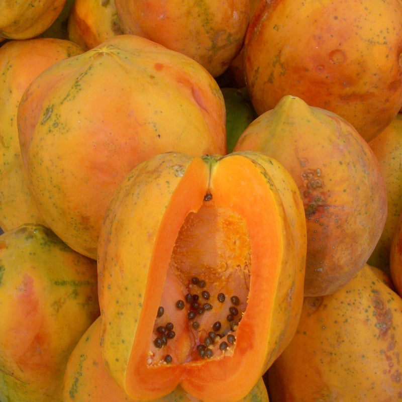 URJA MADHURI PAPAYA SEEDS