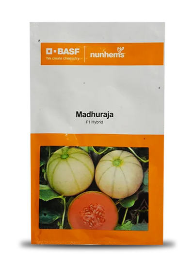 MADHURAJA MUSKMELON SEEDS