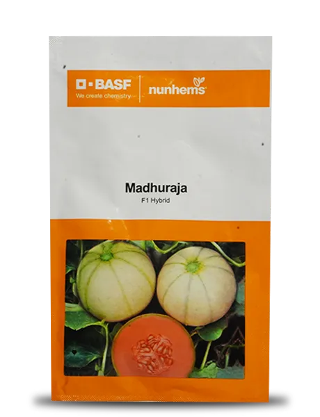 MADHURAJA MUSKMELON SEEDS