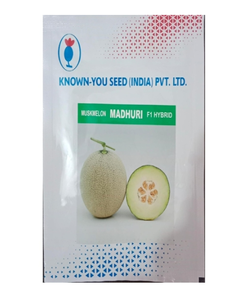 Madhuri Musk Melon Seeds