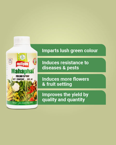 Mahaphal Plant Bio Stimulant