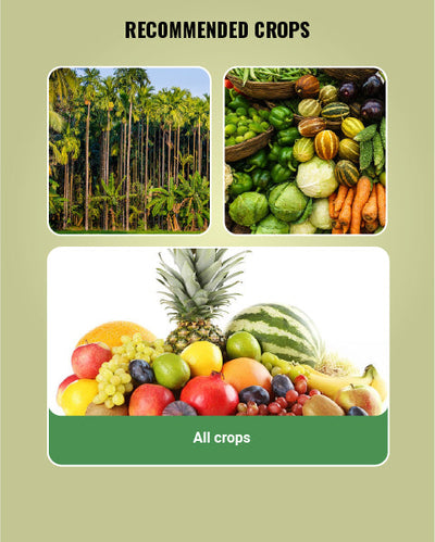 Mahaphal Plant Bio Stimulant