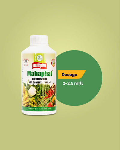 Mahaphal Plant Bio Stimulant
