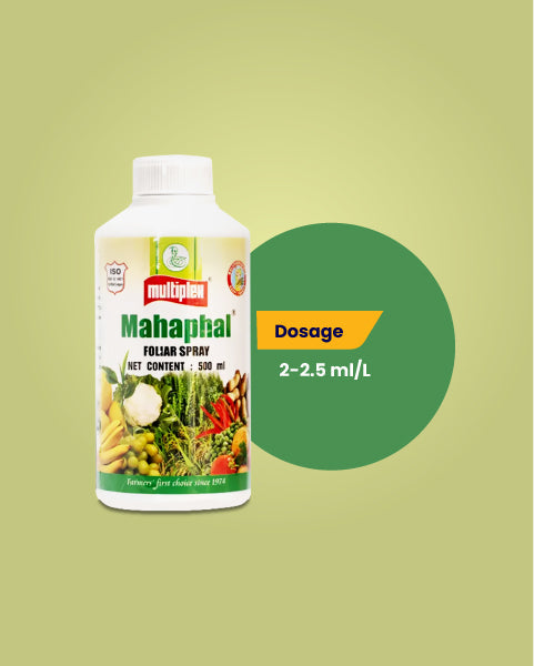 Mahaphal Plant Bio Stimulant