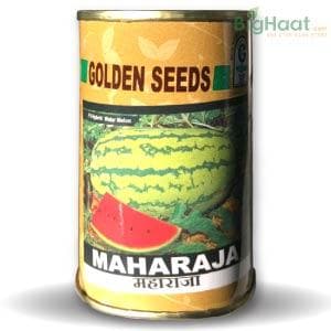 MAHARAJA WATERMELON