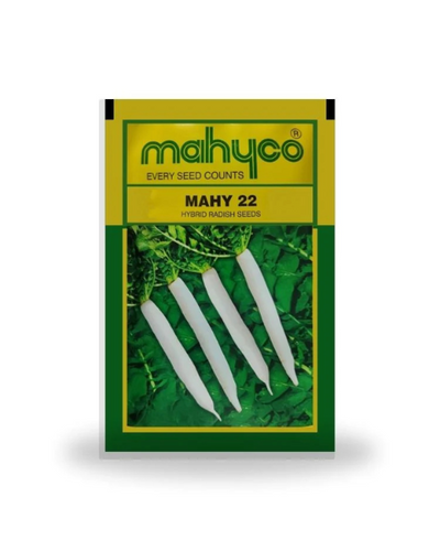 MAHY 22 HYBRID RADISH Seeds