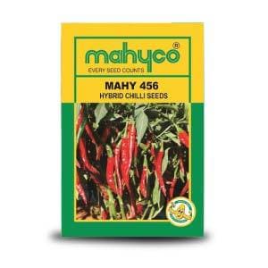 MAHY 456 CHILLI