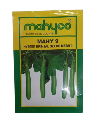 MAHY 9 HYBRID BRINJAL SEEDS.