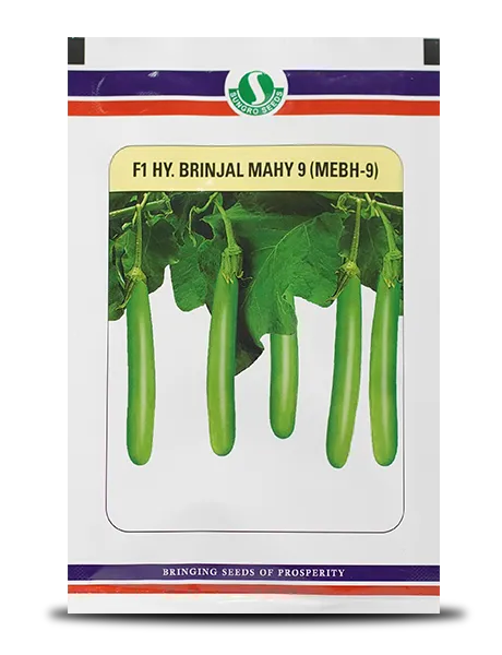 SUNGRO 9 MEBH-9 BRINJAL