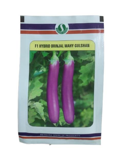 MAHY GULSHAN BRINJAL