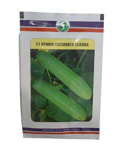 SUNGRO SEDONA CUCUMBER