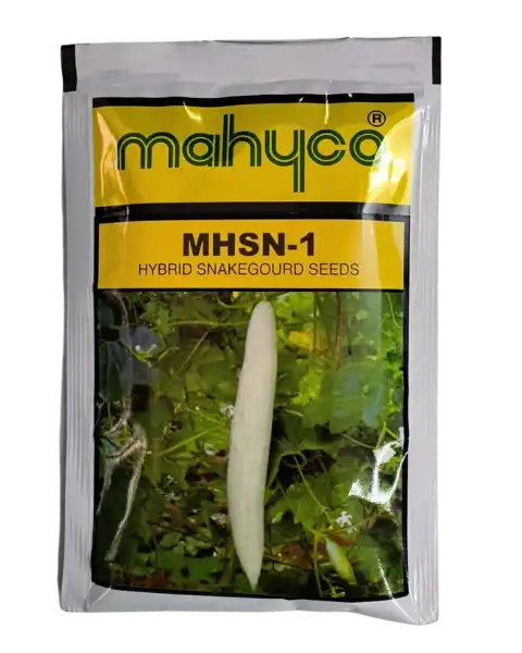 MAHYCO SNAKE GOURD F1 MHSN 1