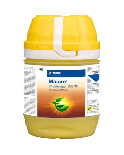 Maiore Insecticide