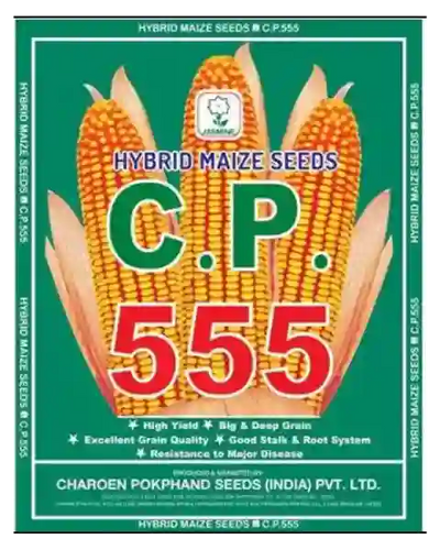 MAIZE-CP-555