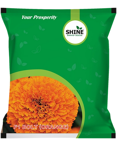 SHINE BOLT ORANGE F1 MARIGOLD SEEDS