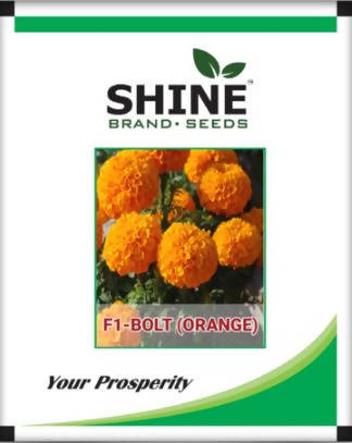 Marigold Bolt Orange F1 - Shine Brand Seeds, Genda