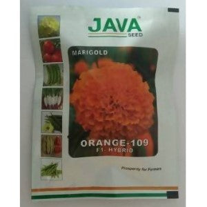 JAVA MARIGOLD ORANGE 109 F1 HYBRID SEEDS