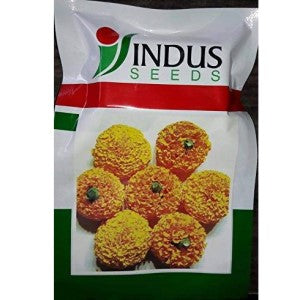 INDUS MARIGOLD PUSHPARAJ ORANGE SEEDS