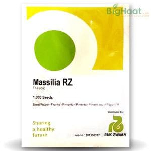 MASSILIA RZ F1 RED CAPSICUM