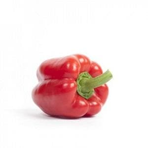 MASSILIA RZ F1 RED CAPSICUM