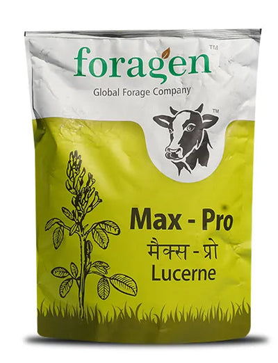 MAX-PRO (LUCERNE) FORAGE