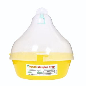 TAPAS FRUIT FLY TRAP - MAXPLUS