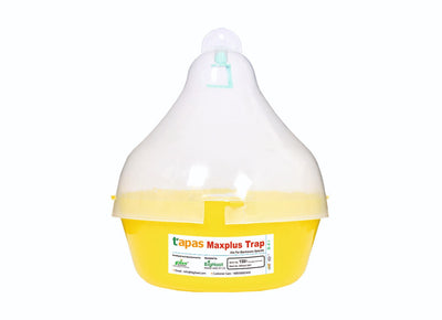 TAPAS FRUIT FLY TRAP - MAXPLUS