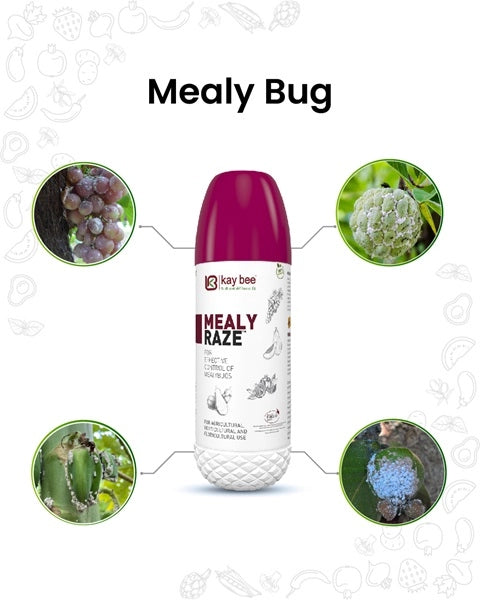 Mealy Raze Bio Pesticide