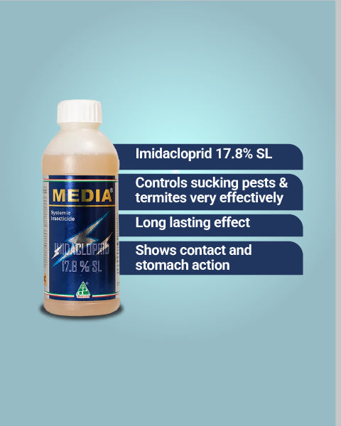 Media Insecticide