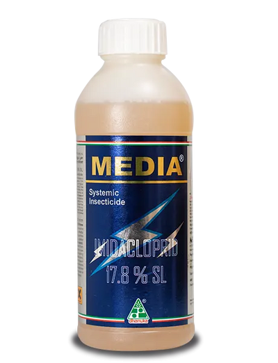 Media Insecticide