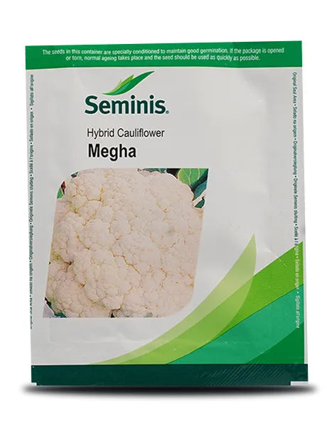 MEGHA CAULIFLOWER SEEDS