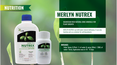 UAL MERLYN NUTREX NATURAL IONIC MINERALS
