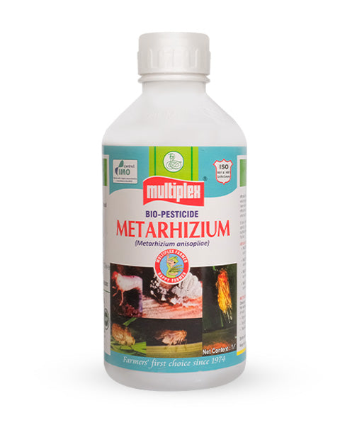 Metarhizium Bio Pesticide