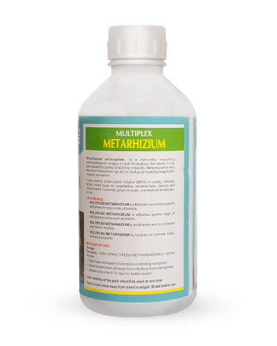 Metarhizium Bio Pesticide