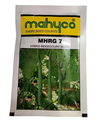 MHRG 7 HYBRID RIDGE GOURD SEEDS