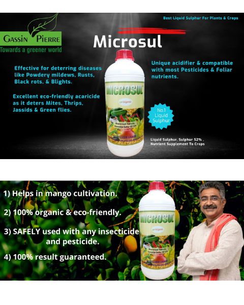 GASSIN PIERRE MICROSUL