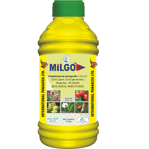 MILGO (AMPELOMYCES QUISQUALIS) BIO FUNGICIDE