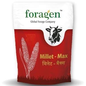 MILLET MAX (MILLET MULTI-CUT)