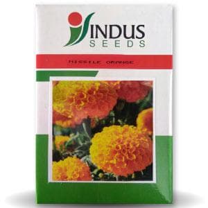 MISSILE ORANGE MARIGOLD SEEDS