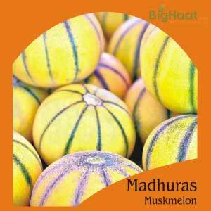 MADHURAS MUSKMELON (OP)