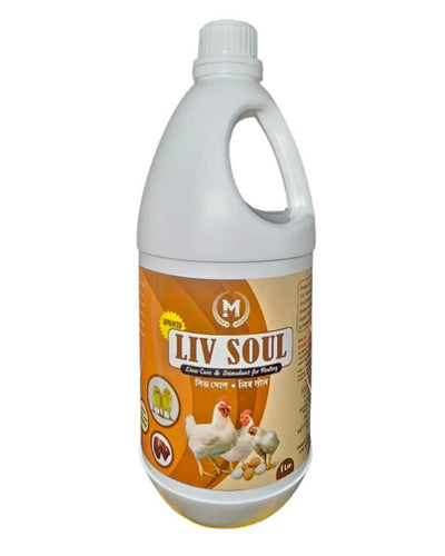 MPGS LIV SOUL