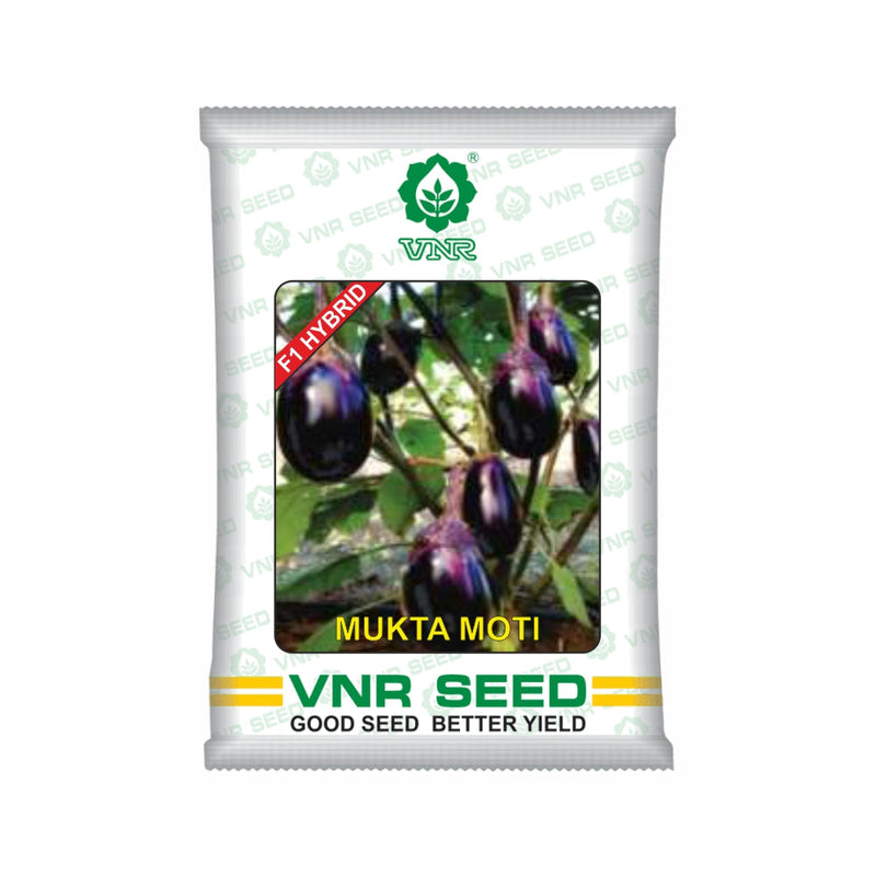 MuktaMoti F1 Hybrid Brinjal Seeds