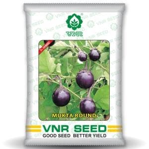 MUKTA ROUND BRINJAL