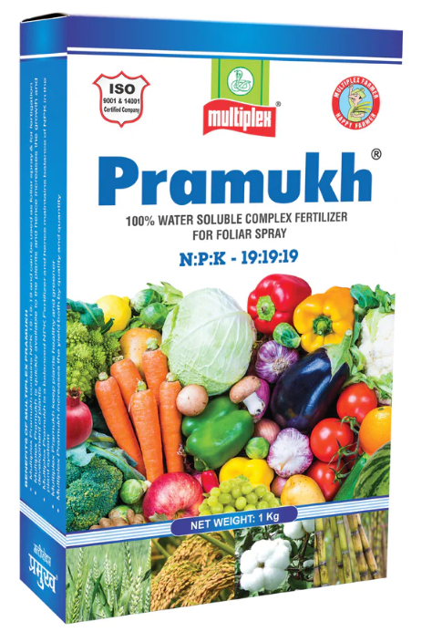 Pramukh (19:19:19) Water Soluble Complex Fertilizer